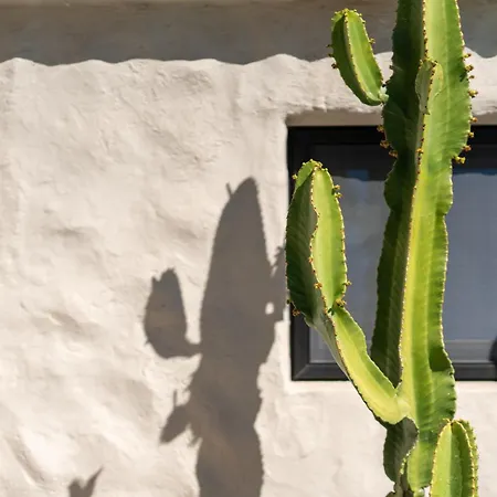 بيت للعطل La Casita De *