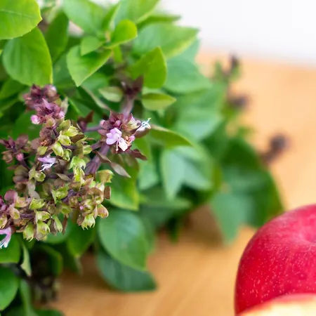 La Casita De بيت للعطل Tafira