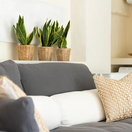 بيت للعطل La Casita De *