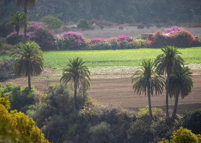 La Casita De Nyaraló *